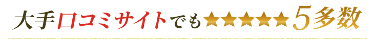 大手口コミサイトでも星5多数
